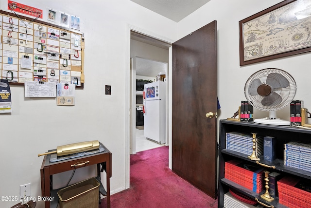 11003 Thunder Dr, Louisville, KY 40272 - hall featuring carpet