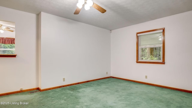 6917 Triangle Dr, Louisville, KY 40214 - photo 6