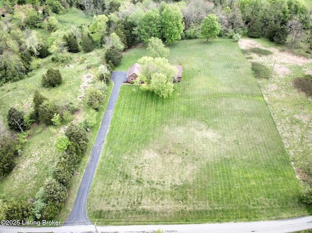 4401 Greenhaven Ln, Goshen, KY 40026 - view from above of property