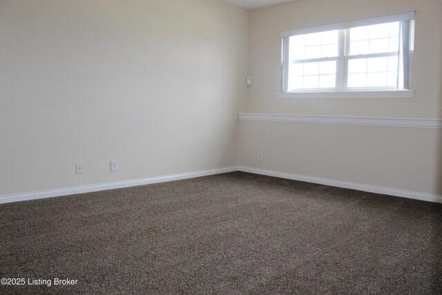 1308 Cedar Springs Pkwy, La Grange, KY 40031 - photo 26