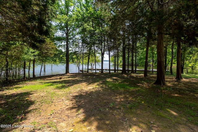 510 Cooks Creek Trl, Glasgow, KY 42141 - photo 39