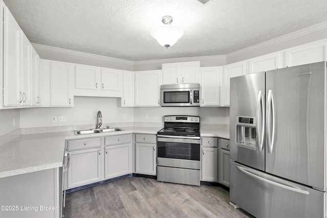 11411 Catalpa View Ct, Louisville, KY 40299 - kitchen featuring appliances with stainless steel finishes, a textured ceiling, light wood-style flooring, light countertops, and white cabinets