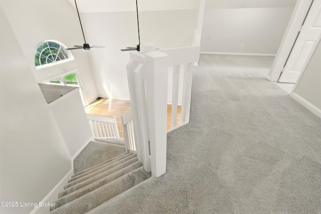 11411 Catalpa View Ct, Louisville, KY 40299 - stairway featuring carpet floors and ceiling fan