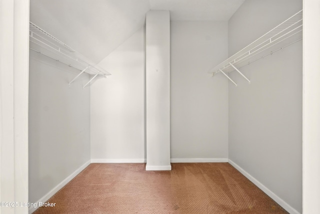 11411 Catalpa View Ct, Louisville, KY 40299 - spacious closet with carpet and vaulted ceiling