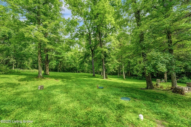 804 Flat Rock Rd, Louisville, KY 40245 - photo 50