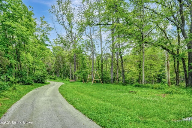 804 Flat Rock Rd, Louisville, KY 40245 - photo 51