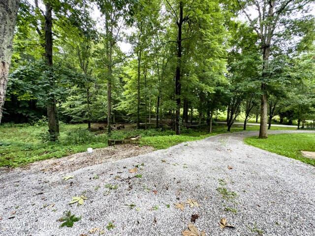77 Old Ky 259th Rd, Mcdaniels, KY 40152 - view of street