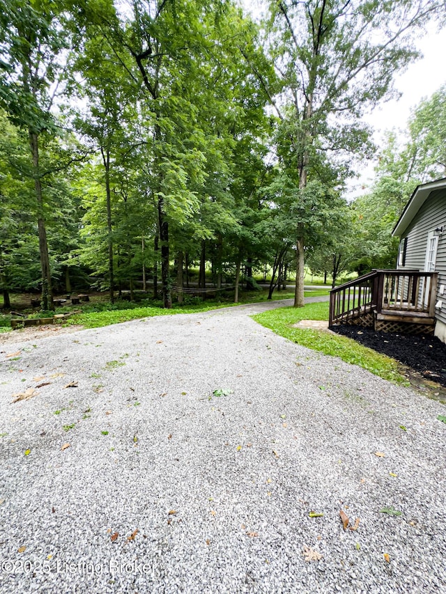 77 Old Ky 259th Rd, Mcdaniels, KY 40152 - view of yard with driveway