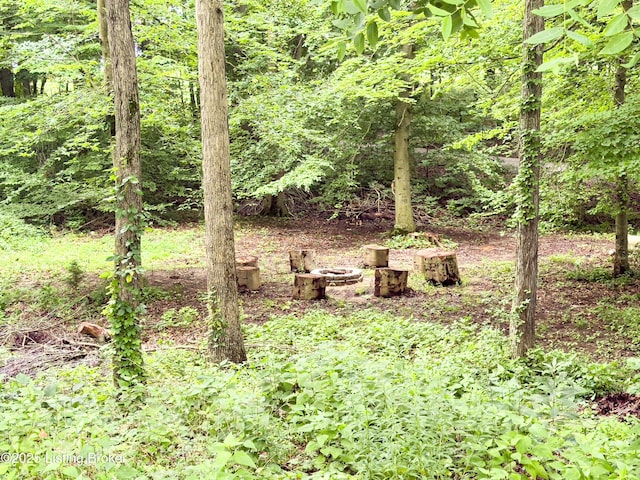 77 Old Ky 259th Rd, Mcdaniels, KY 40152 - view of woods