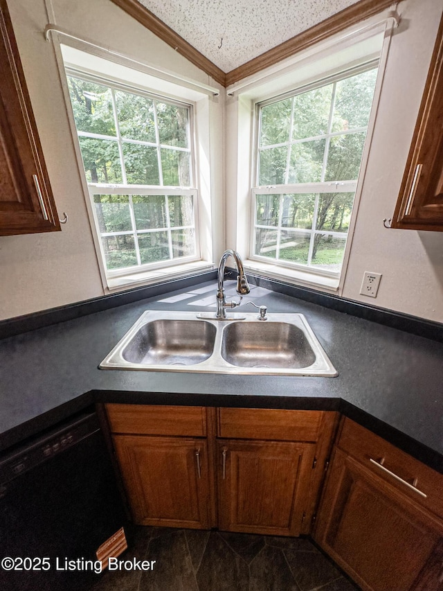 77 Old Ky 259th Rd, Mcdaniels, KY 40152 - kitchen featuring black dishwasher, dark countertops, plenty of natural light, and crown molding
