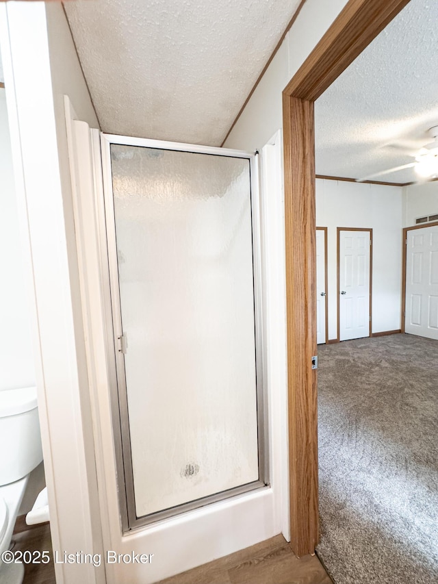 77 Old Ky 259th Rd, Mcdaniels, KY 40152 - full bath with a textured ceiling, a stall shower, and a ceiling fan