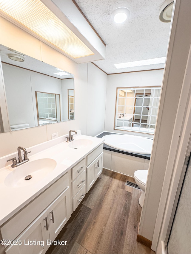 77 Old Ky 259th Rd, Mcdaniels, KY 40152 - bathroom with wood finished floors, double vanity, a bath, and a textured ceiling
