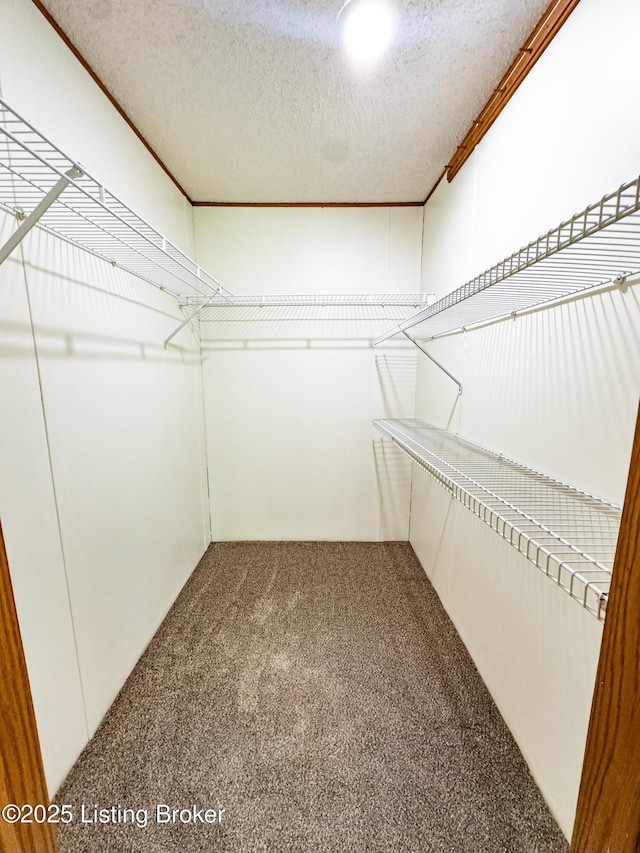 77 Old Ky 259th Rd, Mcdaniels, KY 40152 - spacious closet with carpet flooring