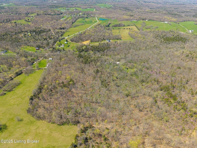WestTract Old Heady Road, Fisherville, KY 40023 - photo 2