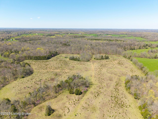 WestTract Old Heady Road, Fisherville, KY 40023 - photo 8