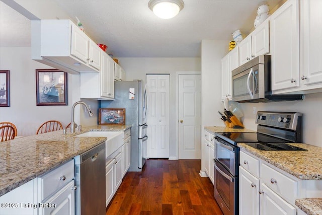 11300 Rdg Lake Dr, Louisville, KY 40272 - kitchen featuring appliances with stainless steel finishes, white cabinetry, dark wood-type flooring, and light stone countertops