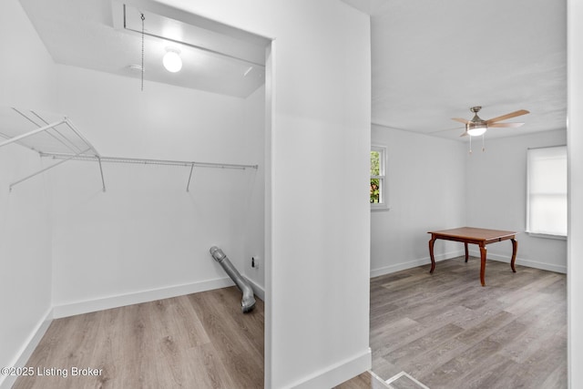 4900 Glenna Way, Louisville, KY 40219 - walk in closet featuring wood finished floors and a ceiling fan