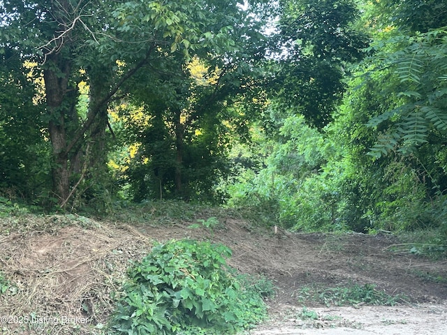0 Hwy 49, Bradfordsville, KY 40009