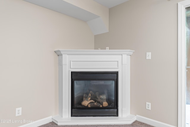 751 N Hite Ave Unit 2, Louisville, KY 40206 - detailed view of carpet flooring and a glass covered fireplace