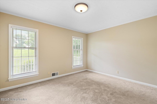 16104 Taylorsville Rd, Fisherville, KY 40023 - photo 16