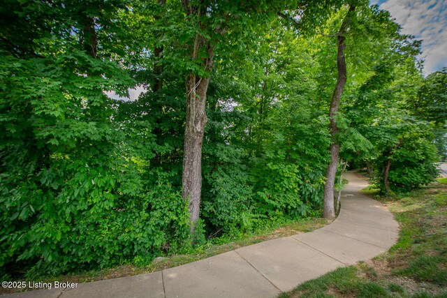 157 Washington Commons Dr, Mt Washington, KY 40047 - photo 31