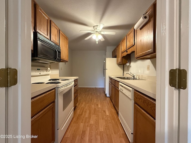 1305 Donard Park Ave, Louisville, KY 40218 - kitchen featuring white appliances, light wood-type flooring, a ceiling fan, light countertops, and brown cabinets