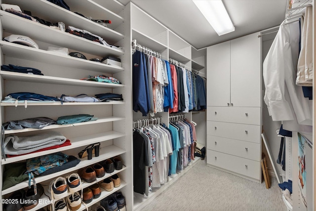 1430 Oakmont Ct, Shelbyville, KY 40065 - walk in closet featuring carpet floors