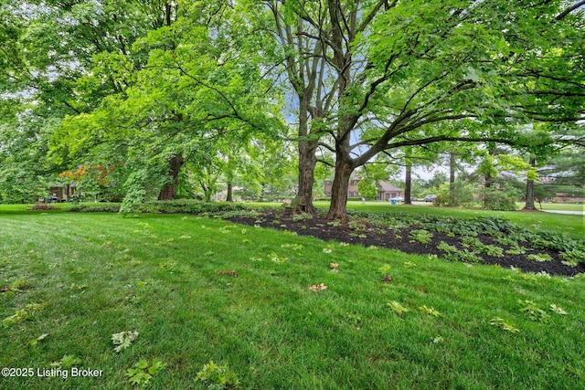 1430 Oakmont Ct, Shelbyville, KY 40065 - view of green lawn