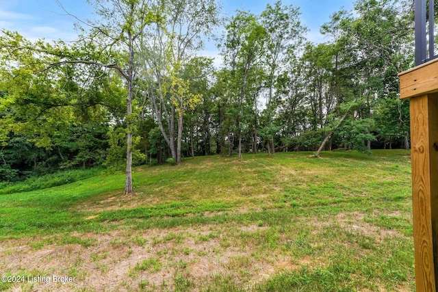 4902 Sycamore Ridge Ln, La Grange, KY 40031 - photo 55