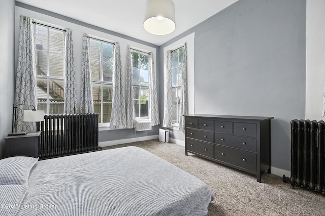 1080 Baxter Ave Unit 2, Louisville, KY 40204 - bedroom with radiator heating unit and carpet flooring