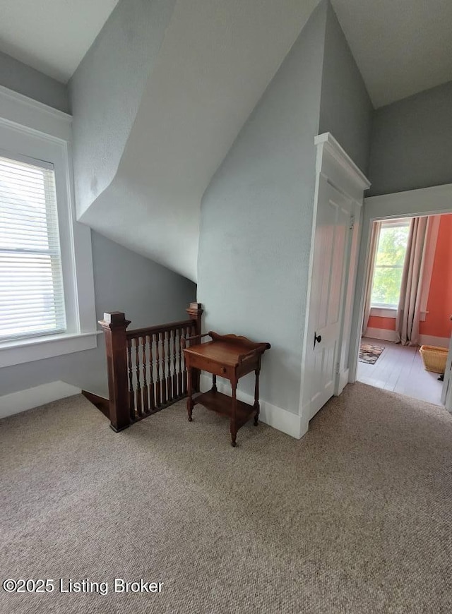 216 6th St, Carrollton, KY 41008 - additional living space with carpet floors