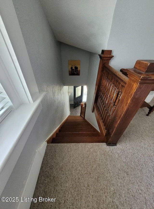216 6th St, Carrollton, KY 41008 - staircase featuring lofted ceiling and carpet floors