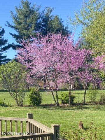 520 Ponder Dr, Shelbyville, KY 40065 - view of grassy yard