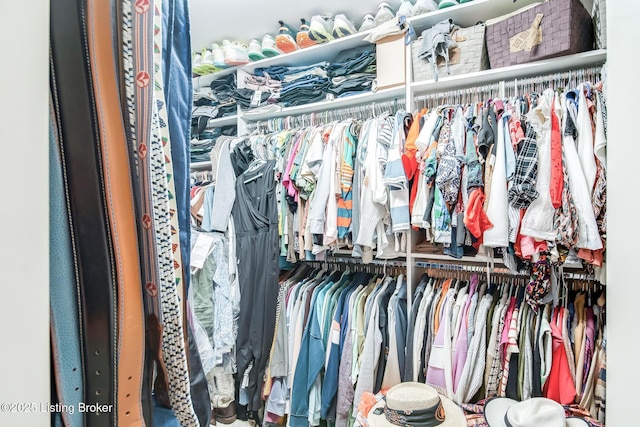 4025 Elmwood Ave, Louisville, KY 40207 - view of spacious closet