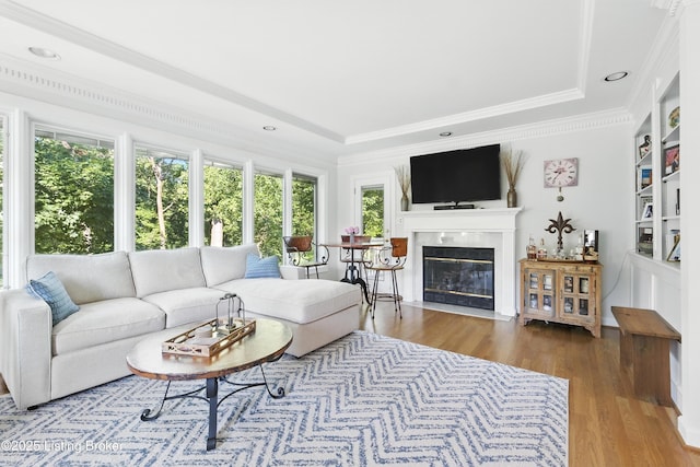 1375 Waxwing Pl, Louisville, KY 40223 - living area featuring a tray ceiling, wood finished floors, a fireplace with flush hearth, ornamental molding, and recessed lighting