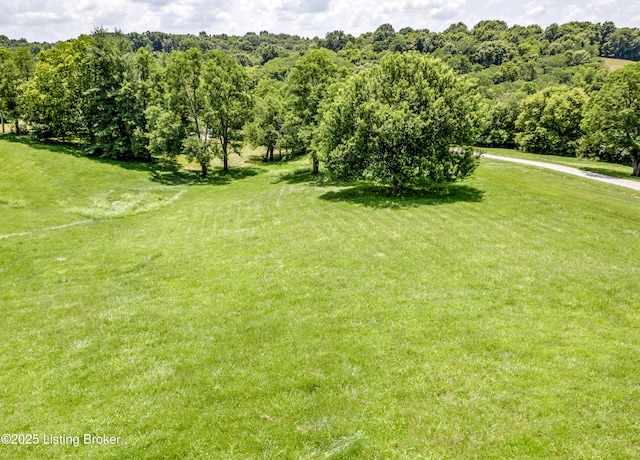 TRACT8 Frankfort Rd, Waddy, KY 40076 - photo 5