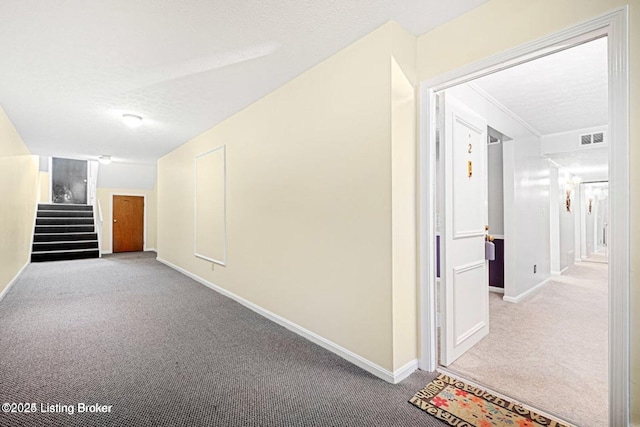 109 Algiers Ct # 2, Louisville, KY 40218 - photo 12