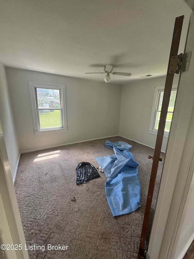 272 Magnolia St, Upton, KY 42784 - photo 10