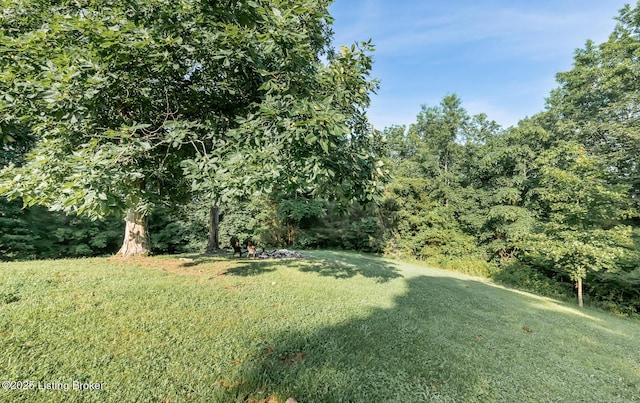 630 Inghram Ln, Bloomfield, KY 40008 - photo 3