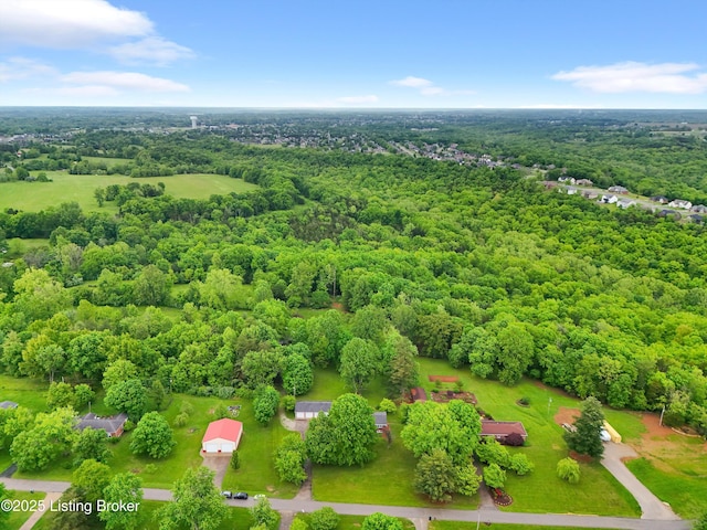 322 Riverview Dr, Mt Washington, KY 40047 - photo 48