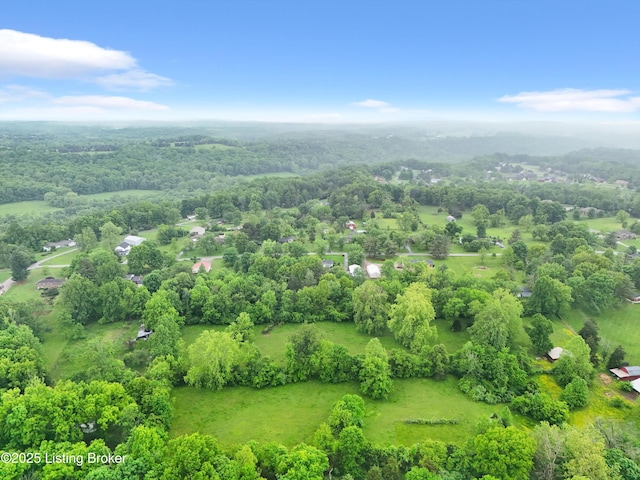322 Riverview Dr, Mt Washington, KY 40047 - photo 50