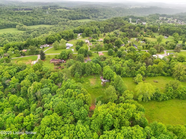 322 Riverview Dr, Mt Washington, KY 40047 - photo 51