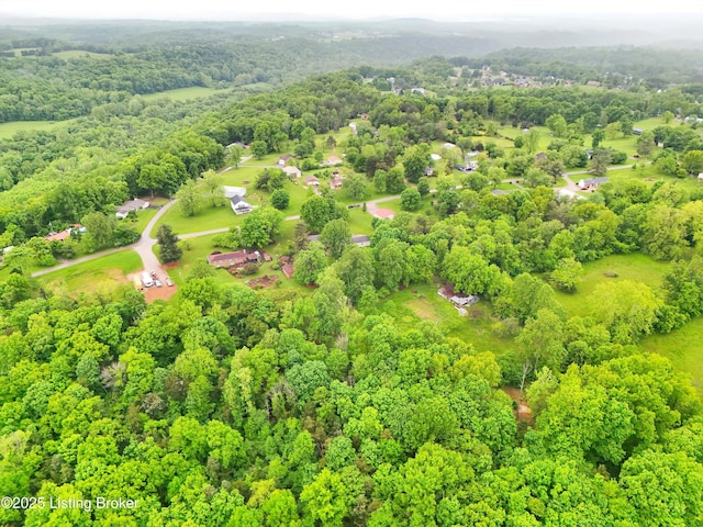 322 Riverview Dr, Mt Washington, KY 40047 - photo 52