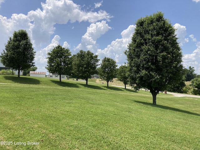 8116 Lawrenceburg Rd, Chaplin, KY 40012 - photo 4