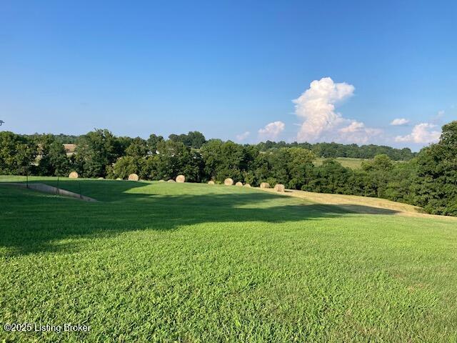 8116 Lawrenceburg Rd, Chaplin, KY 40012 - photo 6
