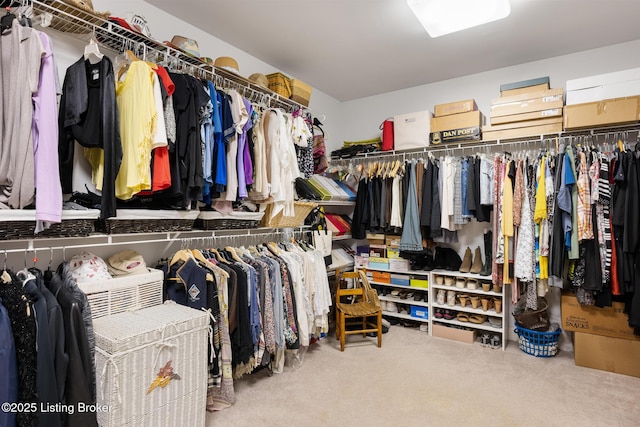 11731 Paramont Way, Prospect, KY 40059 - spacious closet featuring carpet