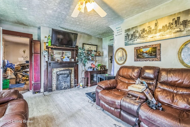 204 W High St, Springfield, KY 40069 - photo 5