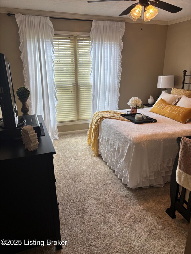 361 Spring House Ln, Louisville, KY 40229 - photo 22
