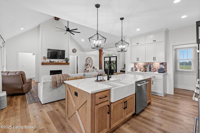 2070 Tonieville Rd, Hodgenville, KY 42748 - kitchen with open floor plan, stainless steel dishwasher, healthy amount of natural light, a fireplace, and recessed lighting