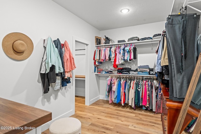 2070 Tonieville Rd, Hodgenville, KY 42748 - walk in closet with wood finished floors